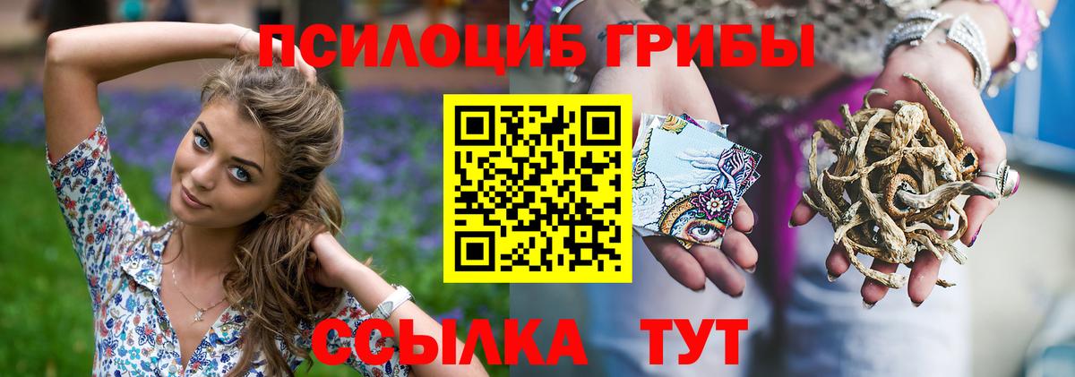 Каменск-Шахтинский  Псилоцибиновые грибы ЛСД  Вход с VPN  Псилоцибиновые грибы Cubensis 